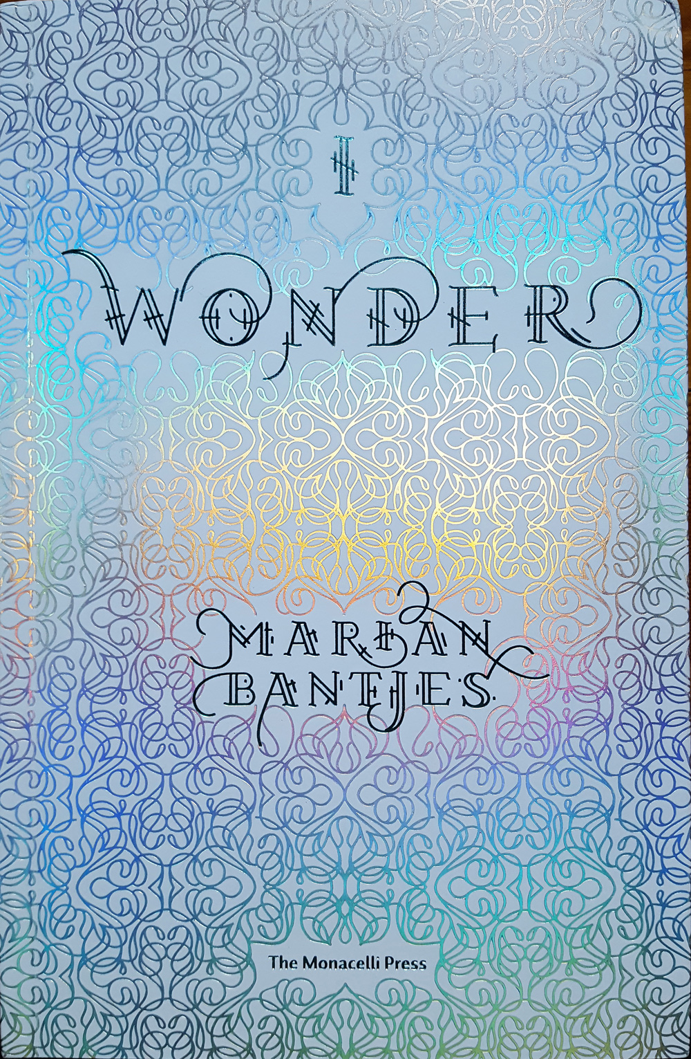I Wonder (2nd Ed.)